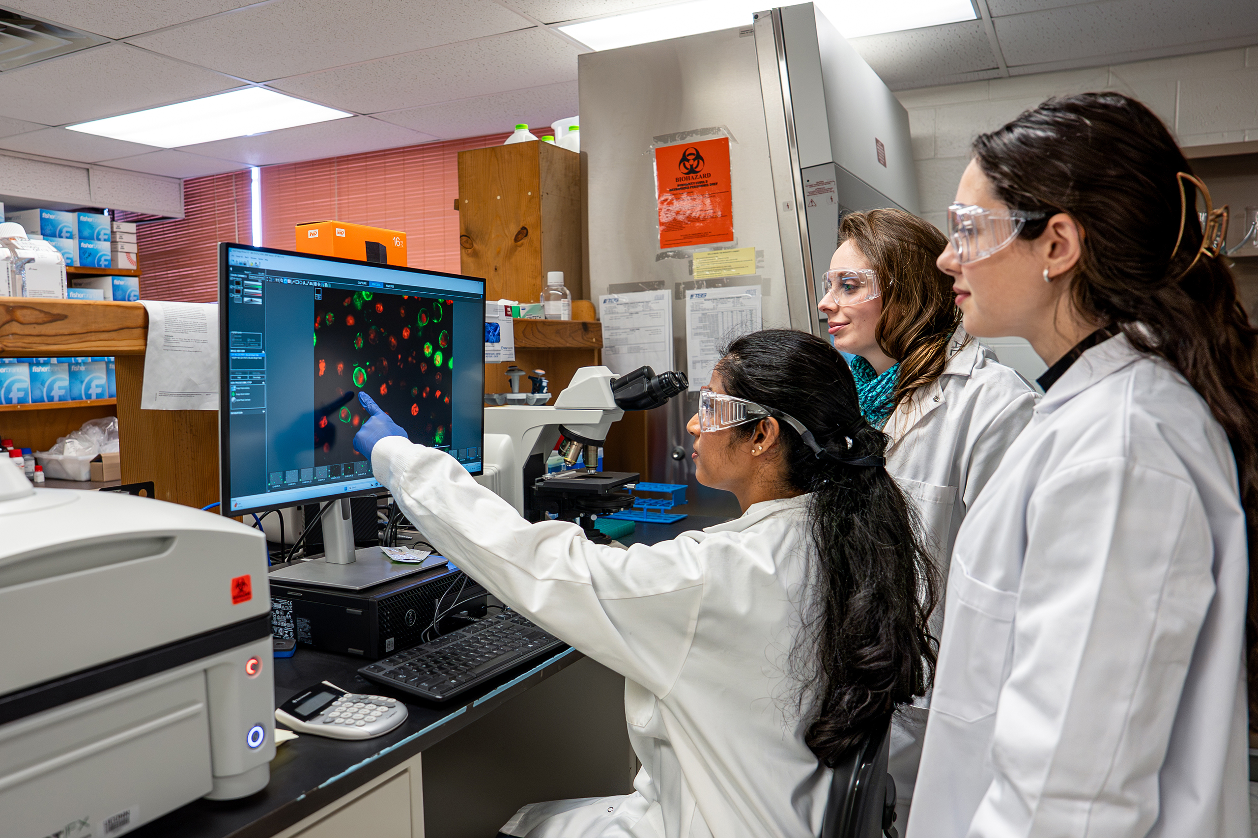 researchers in the lab looking at data