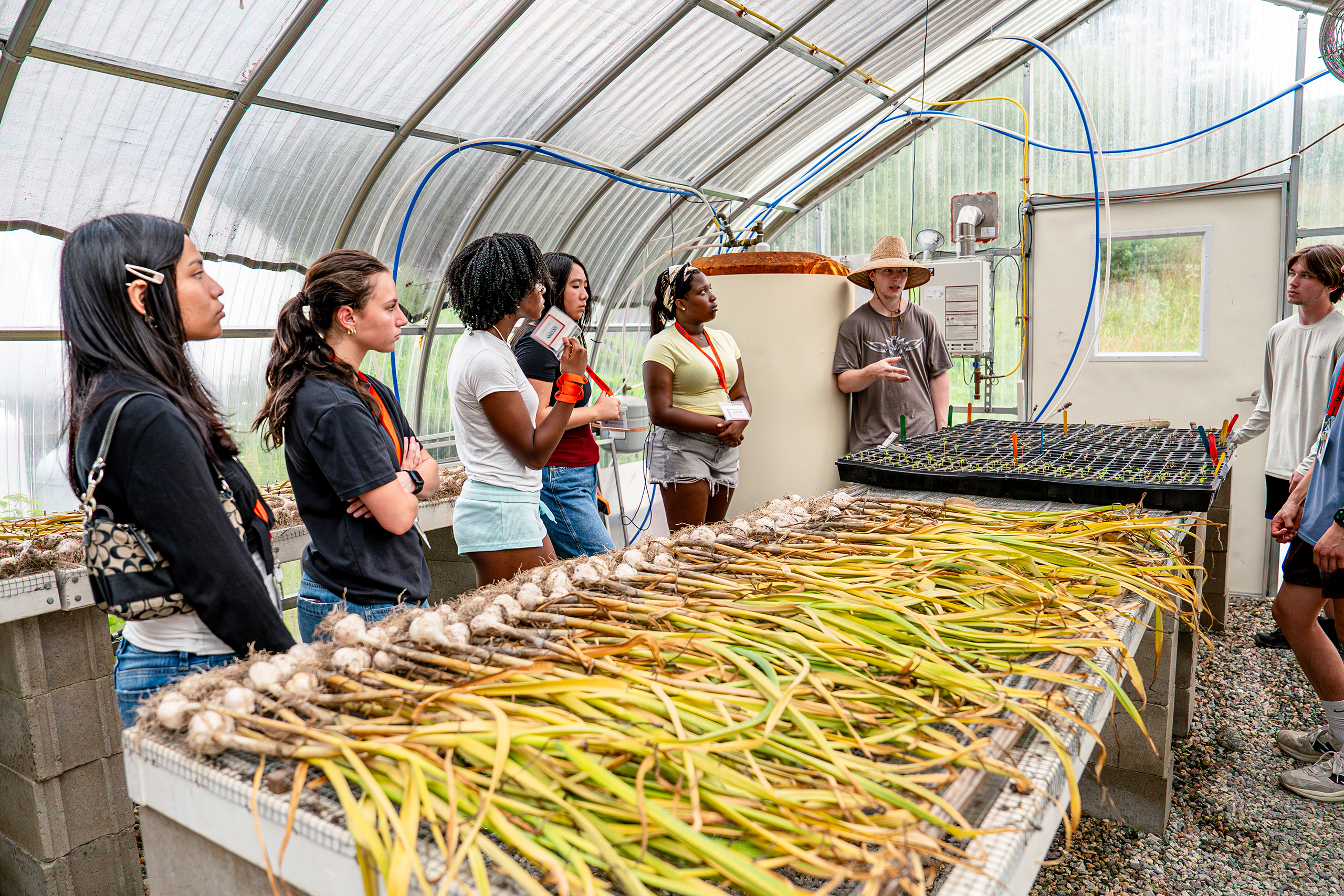students in a production greenhouse